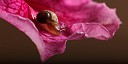 2013-05-19-21-24-42-BQ.JPG