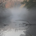 Brume dans le marais de Chateauneuf