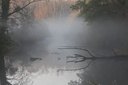 Brume dans le marais de Chateauneuf