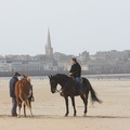 Chevaux sur la plage du sillon