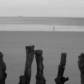 Promenade sur la plage du sillon