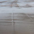 Trace des véhicules de secours sur la plage