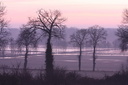 Marais de Châteauneuf