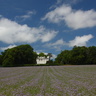Campagne jouannaise