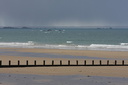 Grain sur la mer