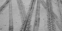 Traces de chars à voile sur le sable