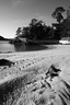 Plage de la passagère