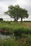 Au bord de l'eau