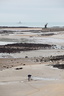 Pêche à pied