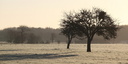 Matin d'hiver