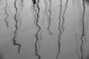 Reflets