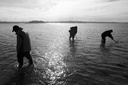 Pêche à pied
