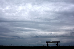 Banc, Le Vivier-sur-Mer