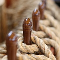 Gabillots de l'Amerigo Vespucci