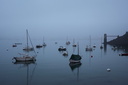 Brume