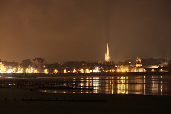 Bruine nocturne