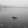 Brume sur le Port