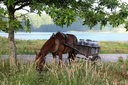 Cheval, Sete Citades