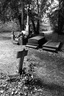 Cimetière Jeanne Jugan