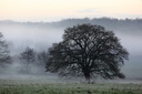 Brume, Saint-Rémy-du-Val