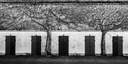 Champ de courses