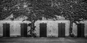 Hippodrome
