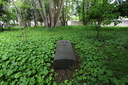 Cimetière Jeanne Jugan
