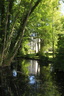 Parc des chênes