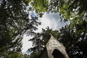 Cimetière Jeanne Jugan