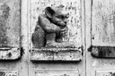 Porte