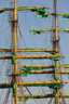 Alexander von Humboldt II
