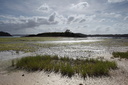 Ile Harteau