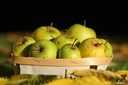 Pommes