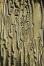 Motifs