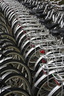 Vélos, Sologne