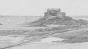 Petit bé