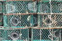 Casiers de pêche