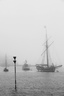 Brume