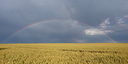 Arc-en-ciel, Pleugueneuc