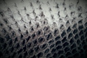 Tissu