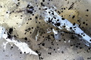 Tâches de peinture