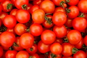 Tomates