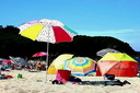 Parasols
