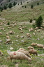 Col de l'Isoar