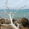 Tobago Cays