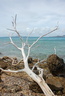 Tobago Cays