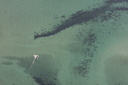 Voilier en baie de Lancieux