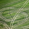 Traces