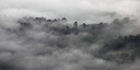 Brume