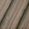 Traces